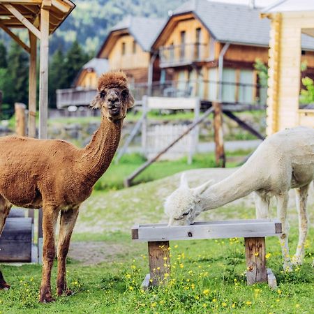 Alpenchalet Alpakablick Sankt Lorenzen ob Murau Exterior foto